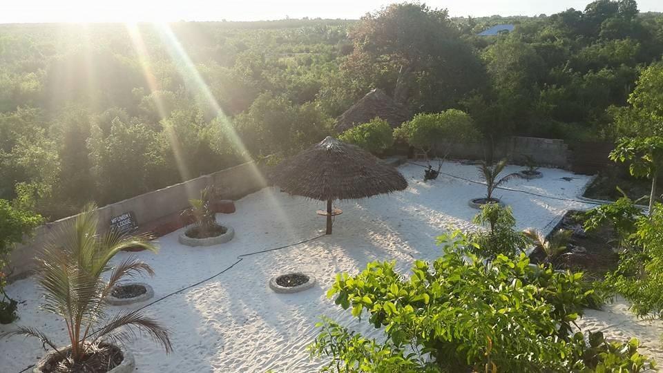 Mfumbwi Lodge Jambiani  Extérieur photo